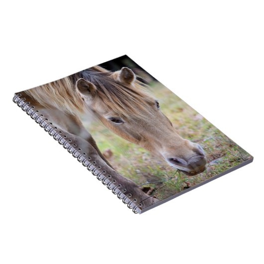 Blond Paard Notitieboek (Rechterzijde)