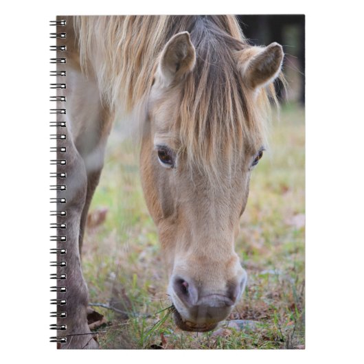 Blond Paard Notitieboek (Voorkant)