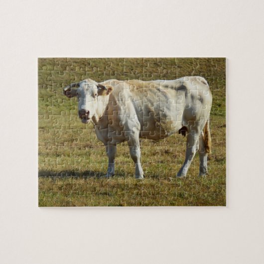 Blonde Aquitaine koe Legpuzzel (Horizontaal)