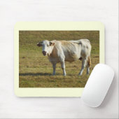 Blonde Aquitaine koe Muismat (Met muis)