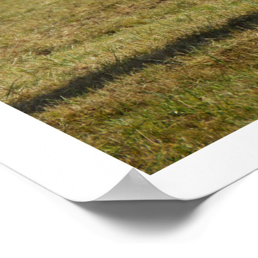 Blonde Aquitaine koe Poster (Hoek)