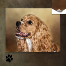 Blonde Cocker Spaniel Poster