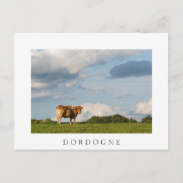 Blonde d'Aquitaine-koe in de regio Dordogne, Frank Briefkaart