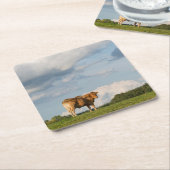 Blonde d'Aquitaine-koe in de regio Dordogne, Frank Kartonnen Onderzetters (Schuin)