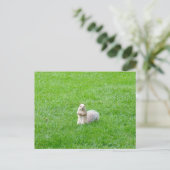 Blonde eekhoorn briefkaart (Staand voorkant)