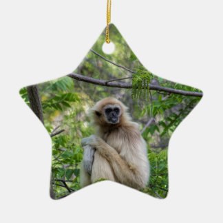 Blonde Gibbon Monkey - Hylobates lar Keramisch Ornament
