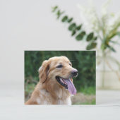 blonde hovawart briefkaart (Staand voorkant)