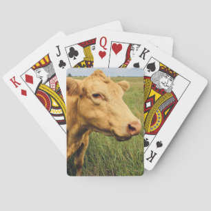 Blonde Koe Pokerkaarten