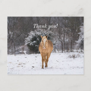 Blonde Paard Loopt In De Sneeuw Bedankt Ansichtkaa Briefkaart