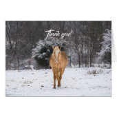 Blonde paarden lopen in de sneeuw (Voorkant Horizontaal)