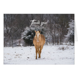 Blonde paarden lopen in de sneeuw