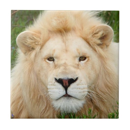 Blonde Pearl Tegeltje (Voorkant)