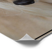 Blonde Saluki Dog Poster (Hoek)