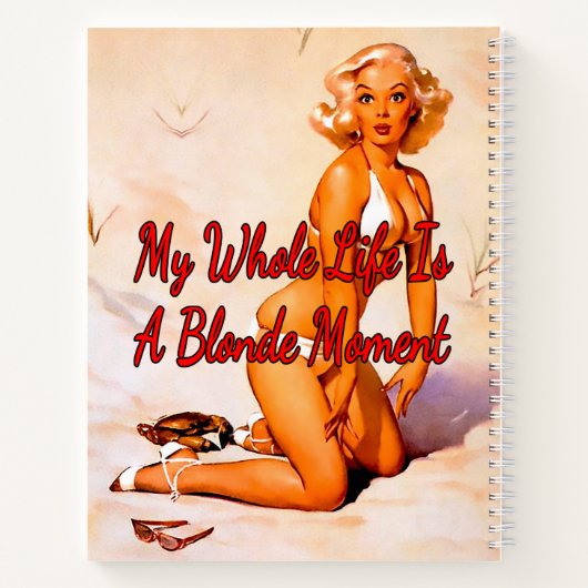 Blonde van 1950 op het strand van Gil Elvgren Notitieboek (Achterkant)