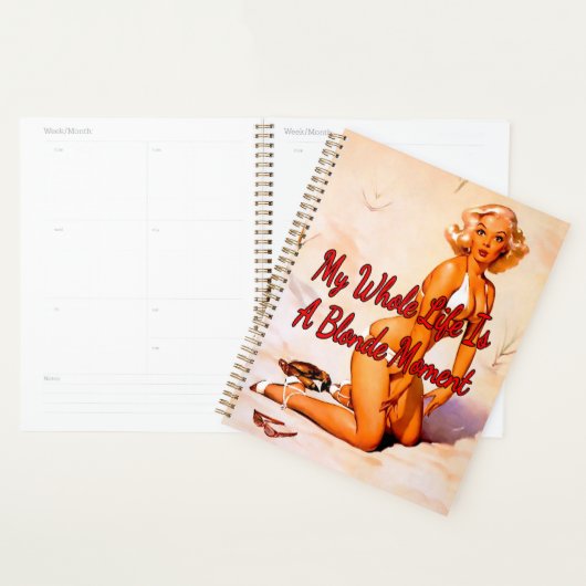 Blonde van 1950 op het strand van Gil Elvgren Planner (Display)