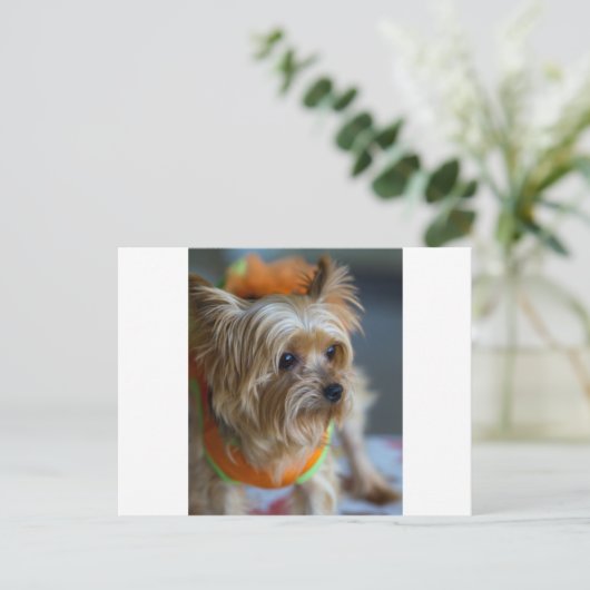 Blonde Yorkshire Terrier Briefkaart (Staand voorkant)