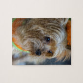 Blonde Yorkshire Terrier Legpuzzel (Horizontaal)