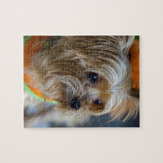 Blonde Yorkshire Terrier Legpuzzel (Horizontaal)