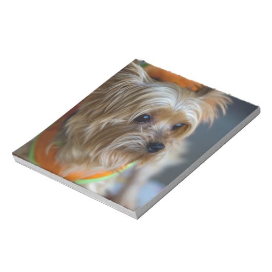 Blonde Yorkshire Terrier Notitieblok (Linkerzijde)