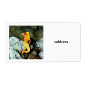 blonde zeemeermin etiket (Voorkant)