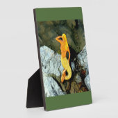 blonde zeemeermin fotoplaat (Zijkant)