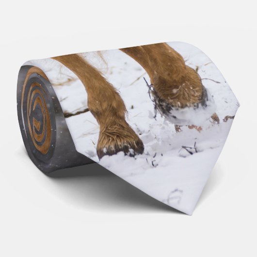 Blondenpaard loopt in de sneeuwse Stropdas (Opgerold)