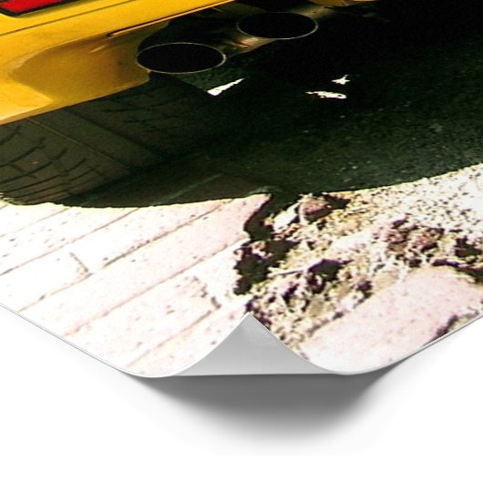 Blondes Poster (Hoek)