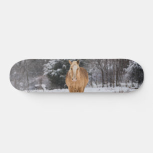 Blondine Paard Walk In De Sneeuw Skateboard