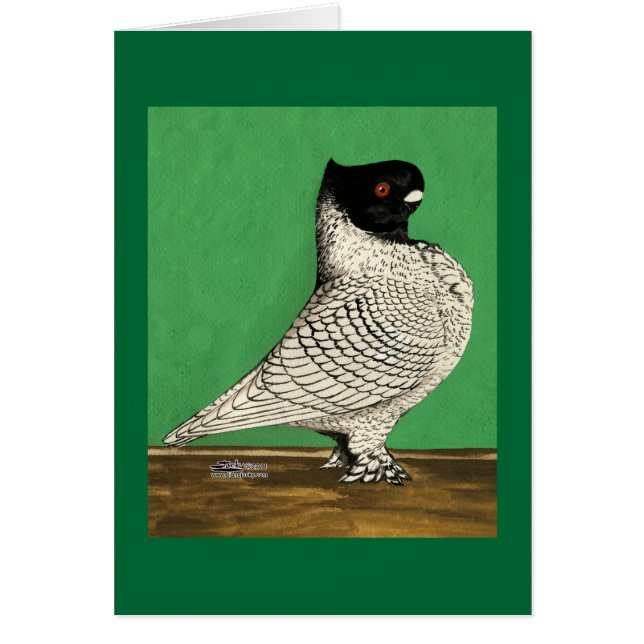 Blondinette Frill Pigeon (Voorkant)