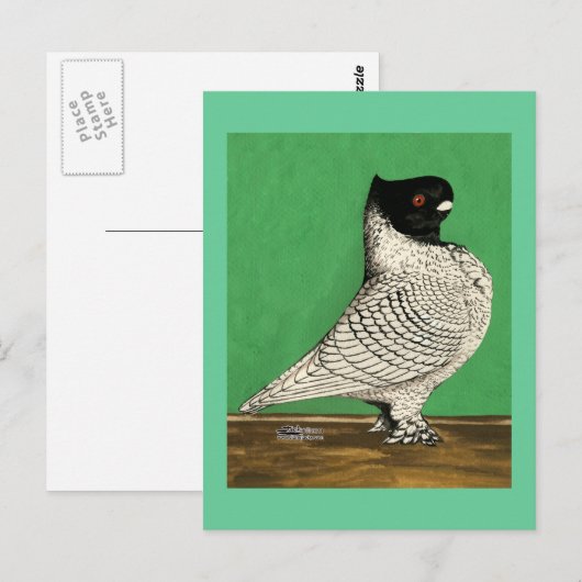 Blondinette Frill Pigeon Briefkaart (Voorkant / Achterkant)