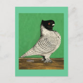 Blondinette Frill Pigeon Briefkaart (Voorkant)