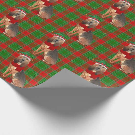 Bloodhound Dog Funny Holiday met kerstmis Cadeaupapier (Hoek)
