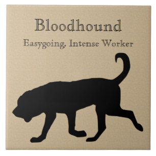 Bloodhound Dog Silhouette Tegeltje