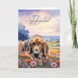 Bloodhound Dog Wildflowers Miss You Kaart