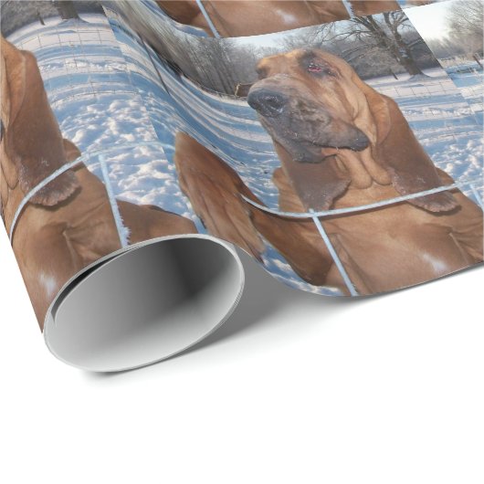Bloodhound Face Cadeaupapier (Rol Hoek)