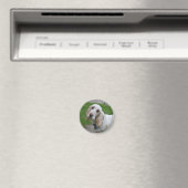 Bloodhound Face Magneet (Insitu (Vaatwasser))