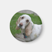 Bloodhound Face Magneet (Voorkant)