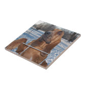 Bloodhound Face Tegeltje (Zijkant)