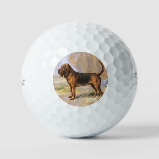 Bloodhound Golfballen (Voorkant)