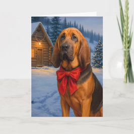 Bloodhound Holiday  Kaart
