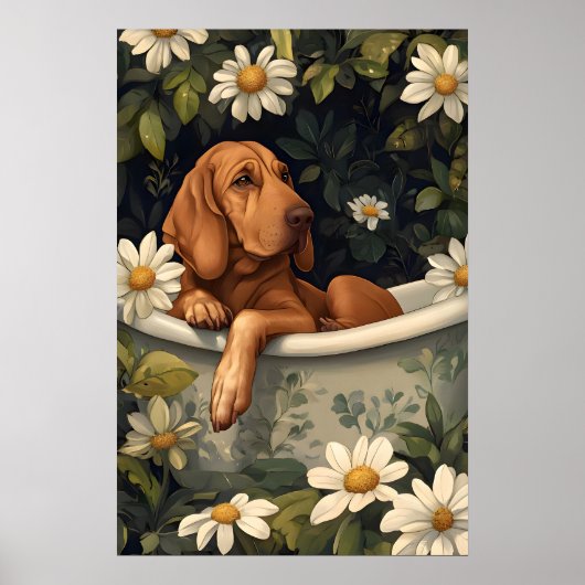 Bloodhound In Bathtub Poster, Funny Dog Poster (Voorkant)