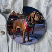 Bloodhound Kerst Feestelijke Periode Ronde Button 6,0 Cm (In situ)