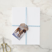Bloodhound Laat het Sneeuwen Kerstmis Cadeaulabel (Met Touw)