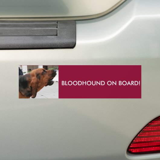Bloodhound on board Bumpersticker (Op auto)