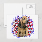 Bloodhound Patriot Briefkaart (Voorkant / Achterkant)