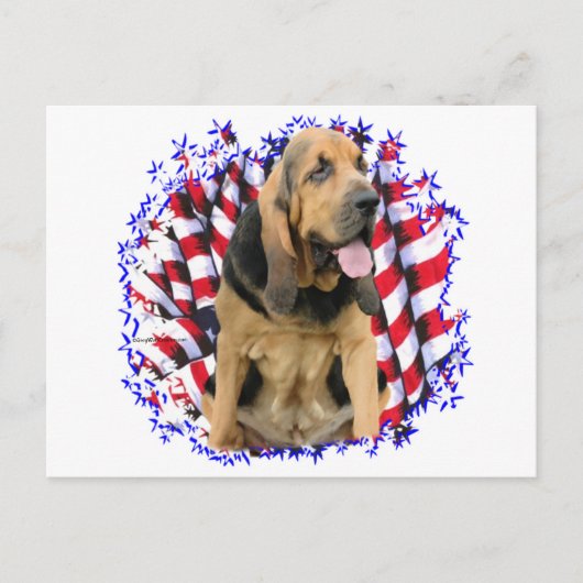 Bloodhound Patriot Briefkaart (Voorkant)