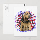 Bloodhound Patriot Briefkaart (Voorkant / Achterkant)
