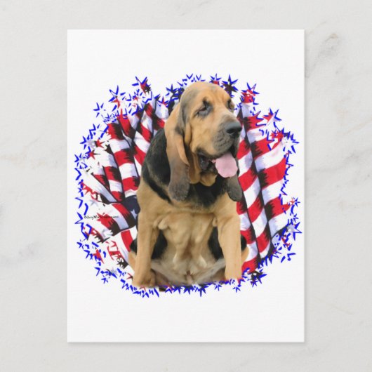 Bloodhound Patriot Briefkaart (Voorkant)