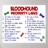 BLOODHOUND PL2 POSTER (Voorkant)