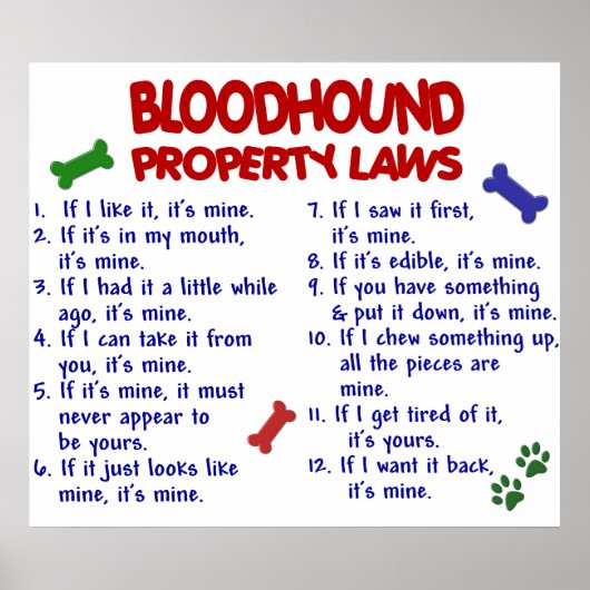 BLOODHOUND PL2 POSTER (Voorkant)